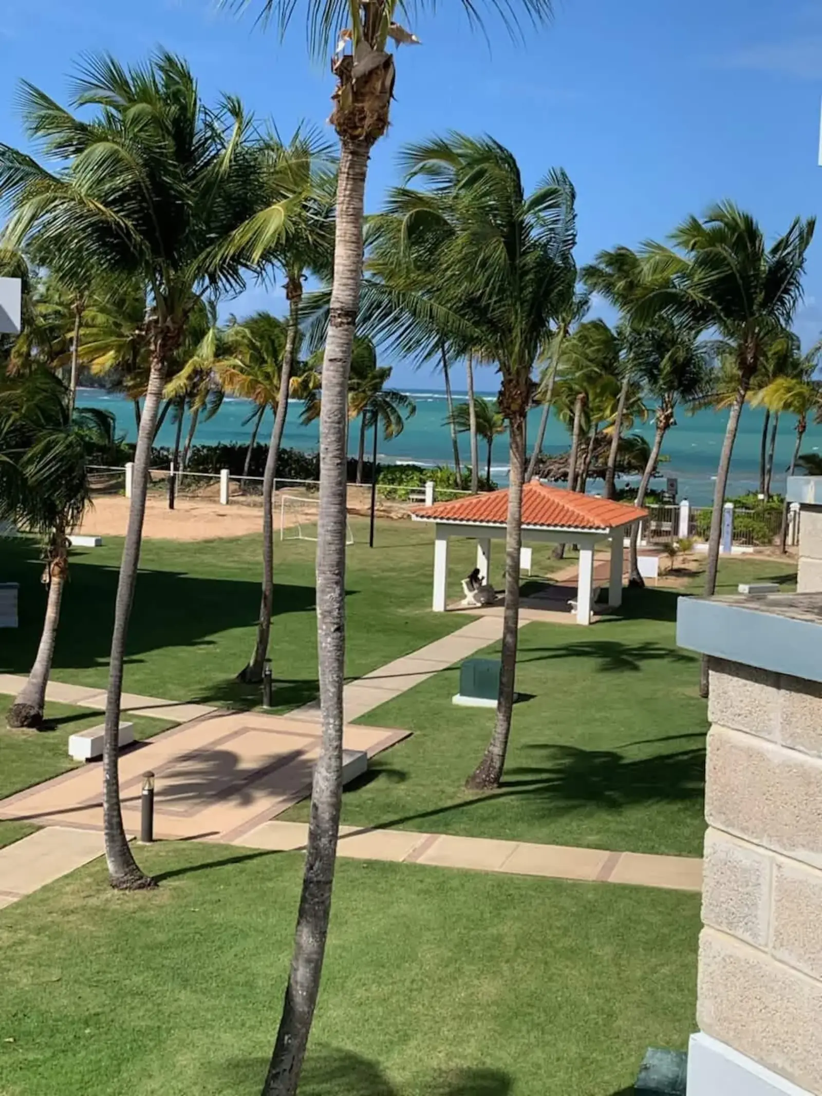 Beachfront grounds and gazebo